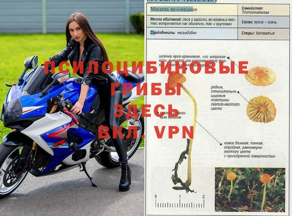 каннабис Беломорск